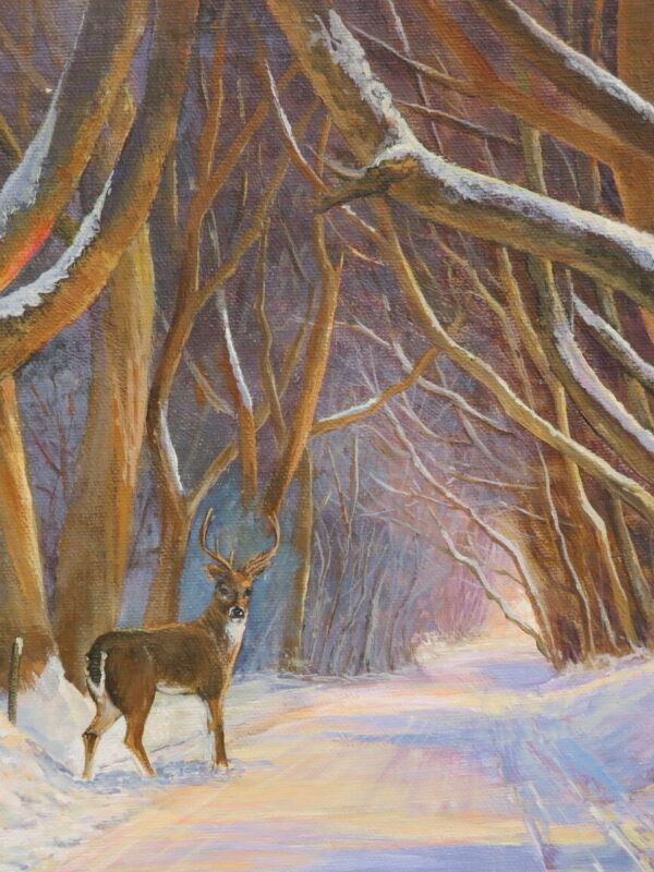A deer stands on a snowy path surrounded by tall, bare trees, creating a serene winter landscape in Co. Antrim