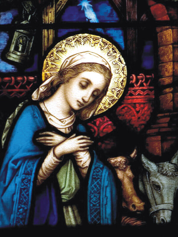 Mary in a blue robe, with a golden halo, gazes down, surrounded by animals in a Nativity Scene Christmas Card design